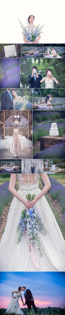 The Lavender Farm wedding, Cambridge, Drumbo, Ontario
